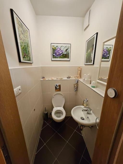 Nadherny V Krasnem Prostredi Apartament Praga