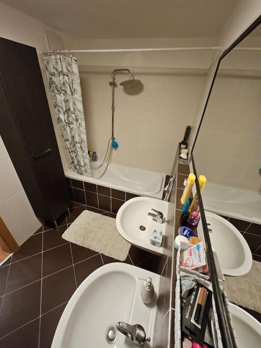 Apartament Nadherny V Krasnem Prostredi